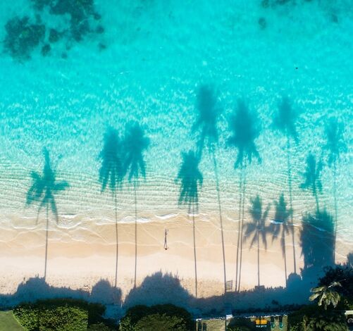 aerial view reflections palm trees turquoise water sea 181624 23162 - Web Nômade Digital