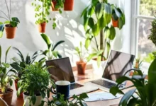 Espaço de trabalho acolhedor para aspirantes a empreendedores.