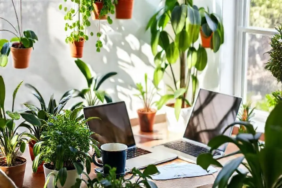 7 Mitos e Verdades que Todo Aspirante a Empreendedor Deve Conhecer - Web Nômade Digital Espaço de trabalho acolhedor para aspirantes a empreendedores.