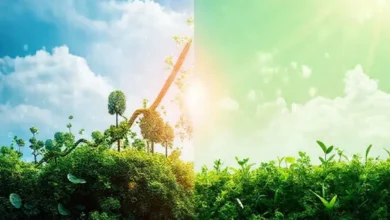 Imagem que simboliza o equilíbrio entre crescimento empresarial e sustentabilidade.