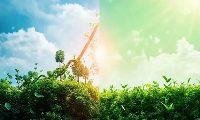 Imagem que simboliza o equilíbrio entre crescimento empresarial e sustentabilidade.