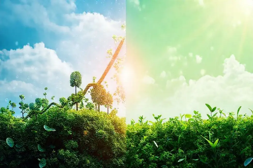 Imagem que simboliza o equilíbrio entre crescimento empresarial e sustentabilidade.