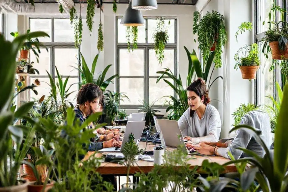 7 Passos para Escalar seu Negócio de Forma Sustentável e Lucrativa - Web Nômade Digital Nômades digitais em um co-working sustentável, simbolizando inovação e eco-friendliness.