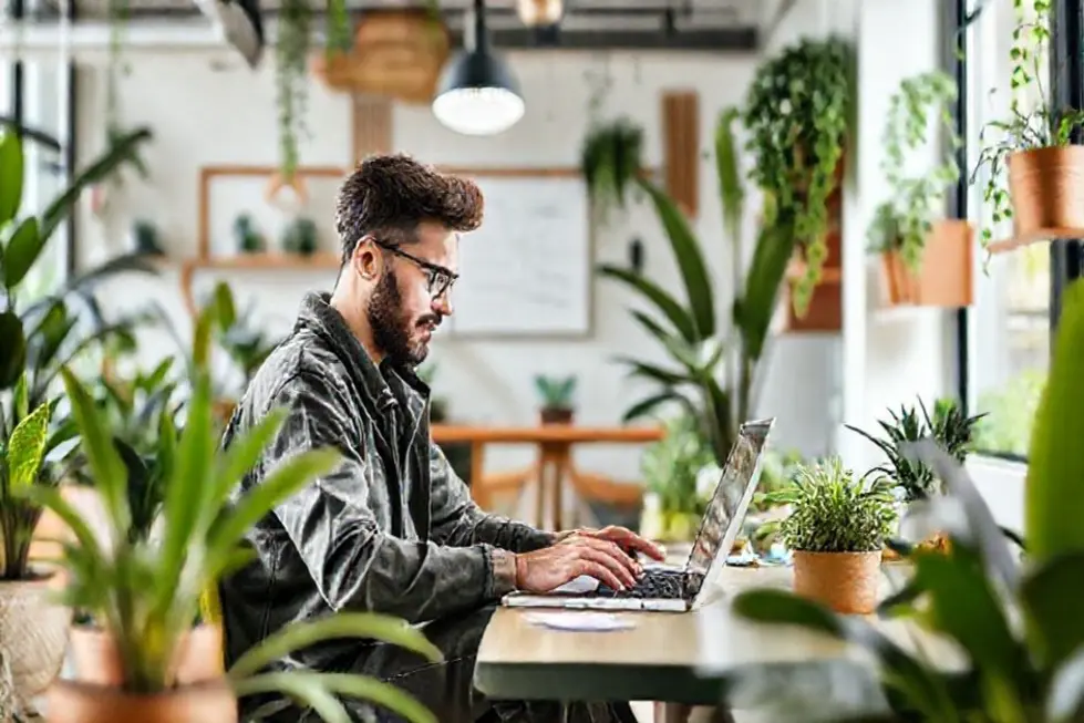 7 Passos para Escalar seu Negócio de Forma Sustentável e Lucrativa - Web Nômade Digital Entendendo o Crescimento Sustentável