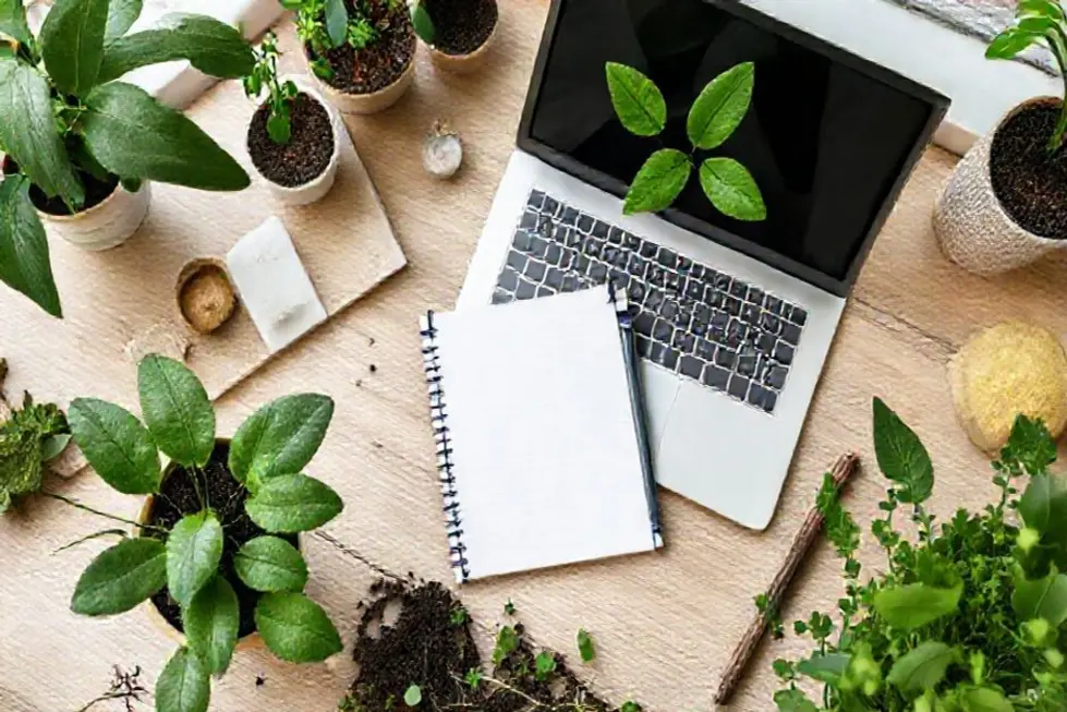 Entendendo o Conceito de Crescimento Sustentável