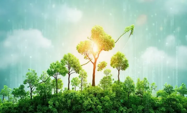 Imagem de capa mostrando harmonia entre crescimento sustentável e negócios.