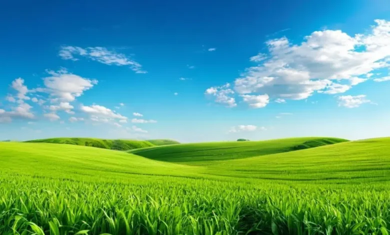 Paisagem serena de campos verdes simbolizando sustentabilidade.
