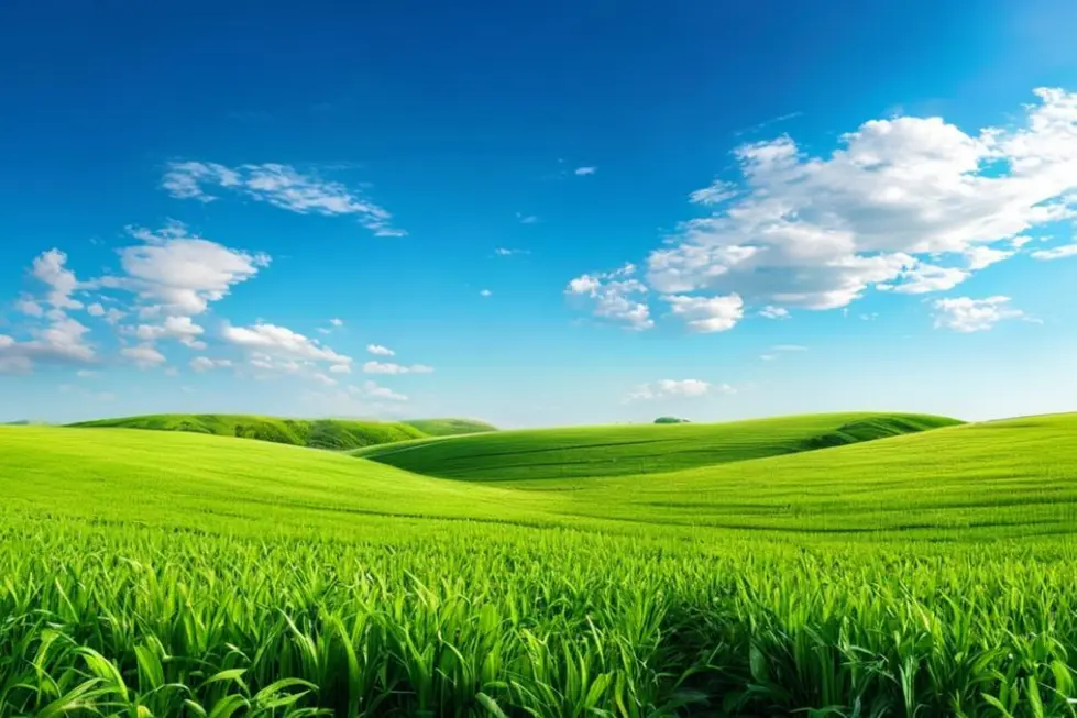 Paisagem serena de campos verdes simbolizando sustentabilidade.