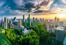Visão panorâmica da natureza ao lado de empresas prósperas, simbolizando o crescimento sustentável.