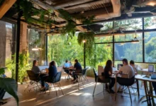 Colaboração entre nômades digitais em um espaço co-working ecológico