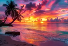 Pôr do sol em uma praia tropical simbolizando a liberdade dos nômades digitais.