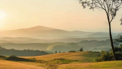 webstory 690963 8093 - Web Nômade Digital