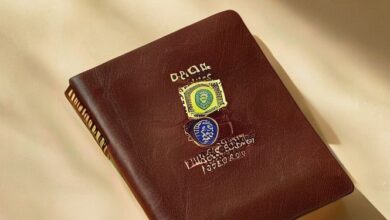 webstory 904748 2165 - Web Nômade Digital