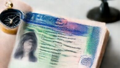 webstory 099588 9578 - Web Nômade Digital