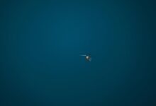 A small helicopter hovers alone in a vast, clear blue sky, symbolizing freedom and isolation.