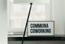Simple and elegant coworking space decor with soft lamp lighting and window view.