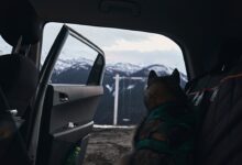 a dog sitting in the back seat of a car