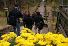 people in black jacket standing near yellow flowers during daytime