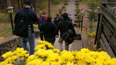 people in black jacket standing near yellow flowers during daytime