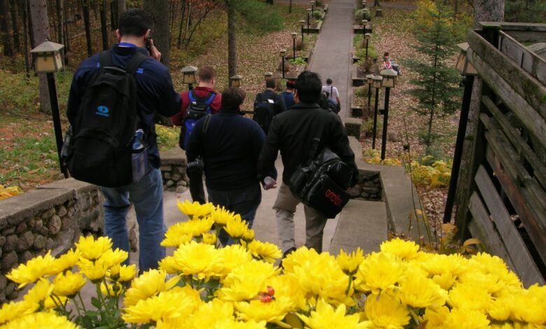 people in black jacket standing near yellow flowers during daytime