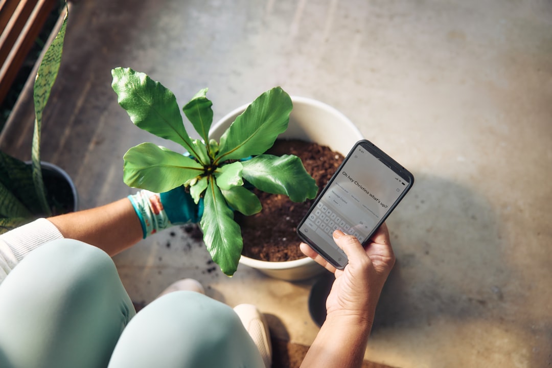 Como Aumentar sua Produtividade Trabalhando em Viagens - Web Nômade Digital Person planting a houseplant and checking phone