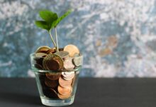green plant in clear glass vase