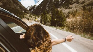 woman riding on vehicle putting her head and right arm outside the window while travelling the road