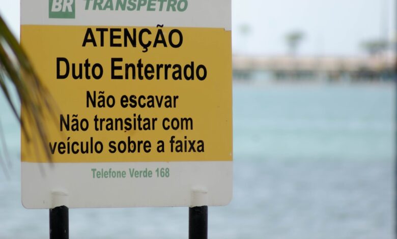Como Viajar e Trabalhar em Destinos Sustentáveis pelo Mundo - Web Nômade Digital yellow and white labeled box