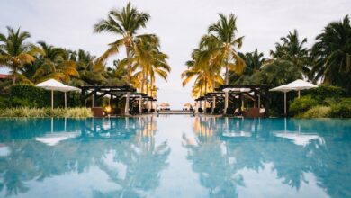 green palm trees near swimming pool during daytime