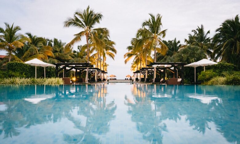 10 Dicas para Trabalhar em Resorts e Aproveitar as Férias - Web Nômade Digital green palm trees near swimming pool during daytime
