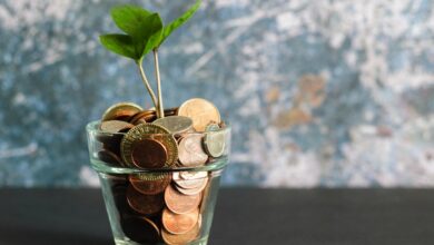 Por que Investir em ETFs é Ideal para Nômades Digitais? - Web Nômade Digital green plant in clear glass vase