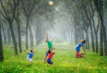 four boy playing ball on green grass