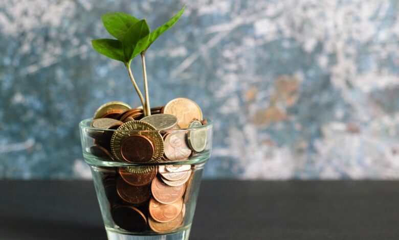 Como Investir em Criptomoedas para Nômades Digitais - Web Nômade Digital green plant in clear glass vase