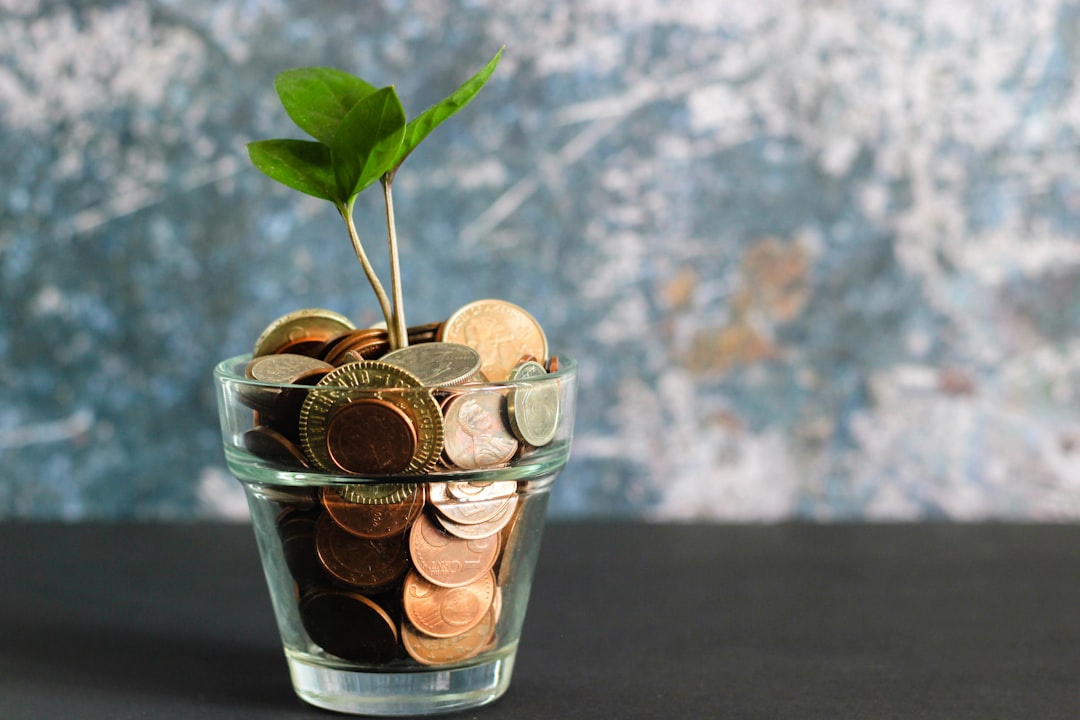Como Investir em Criptomoedas para Nômades Digitais - Web Nômade Digital green plant in clear glass vase