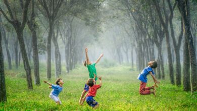 four boy playing ball on green grass