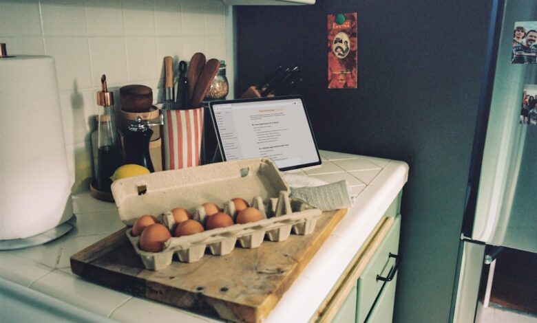 Como Manter a Produtividade em Viagens de Longa Duração - Web Nômade Digital Carton of brown eggs on a kitchen counter