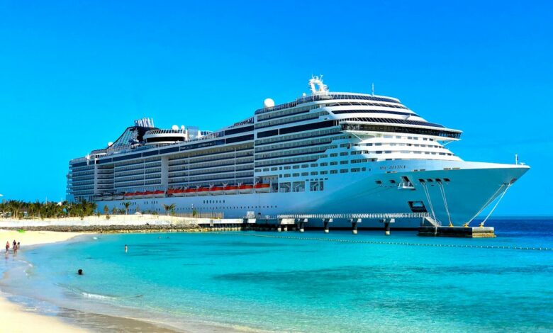 Guia Completo para Trabalhar em Cruzeiros pelo Mundo - Web Nômade Digital white cruise ship on sea during daytime