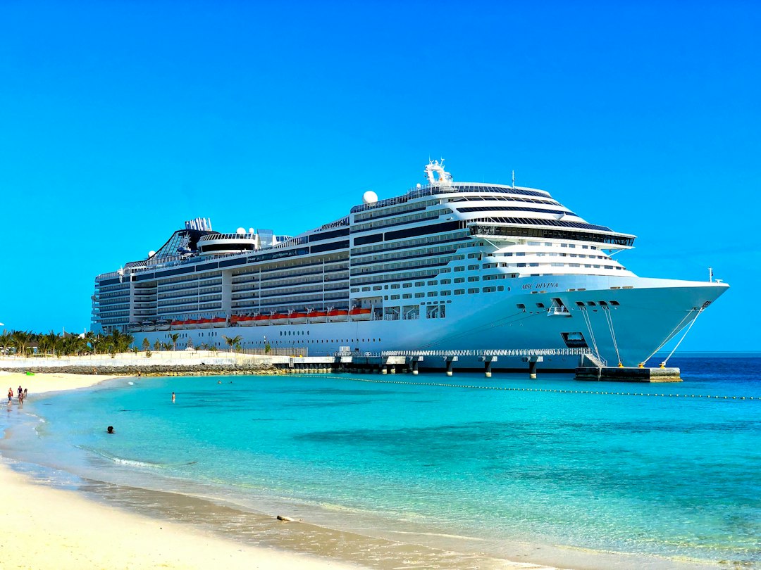 Guia Completo para Trabalhar em Cruzeiros pelo Mundo - Web Nômade Digital white cruise ship on sea during daytime