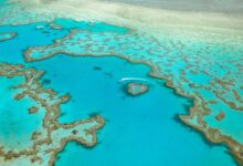 An aerial view of Heart Reef and turquoise coral formations in the Great Barrier Reef