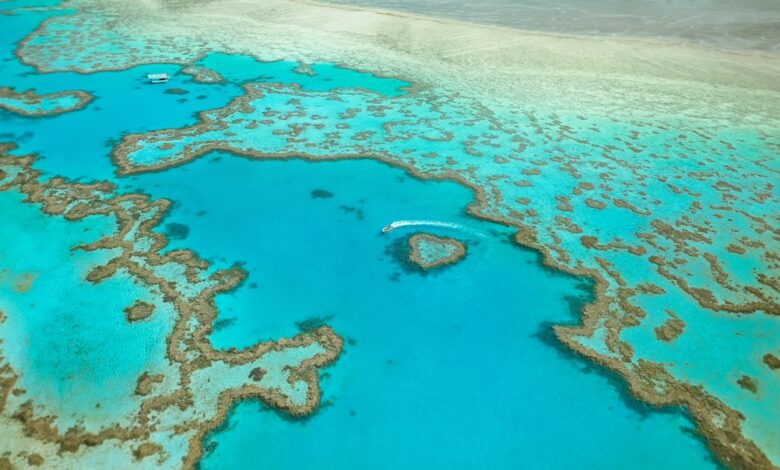 An aerial view of Heart Reef and turquoise coral formations in the Great Barrier Reef