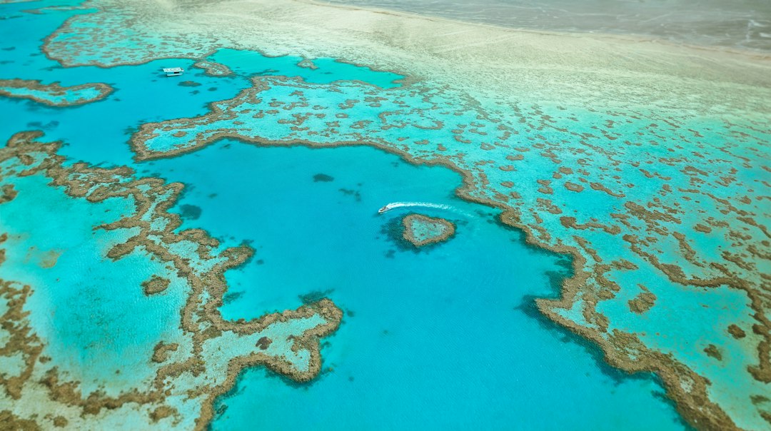 Como Viajar e Trabalhar em Eco-Turismo: Oportunidades e Dicas - Web Nômade Digital An aerial view of Heart Reef and turquoise coral formations in the Great Barrier Reef