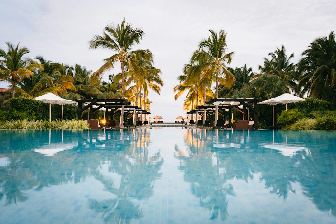 5 Dicas para Trabalhar em Resorts e Aproveitar ao Máximo - Web Nômade Digital green palm trees near swimming pool during daytime