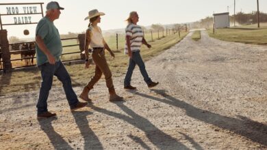 Three farmers walking across a farmyard