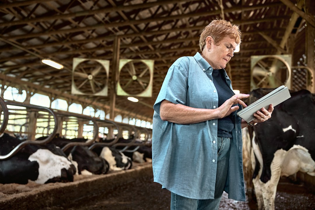 5 Estratégias para Trabalhar em Comunidades Locais pelo Mundo - Web Nômade Digital Woman using a tablet in a dairy barn