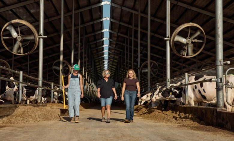 Como Encontrar o Equilíbrio entre Trabalho e Aventura como Nômade - Web Nômade Digital Three women walking through a dairy barn